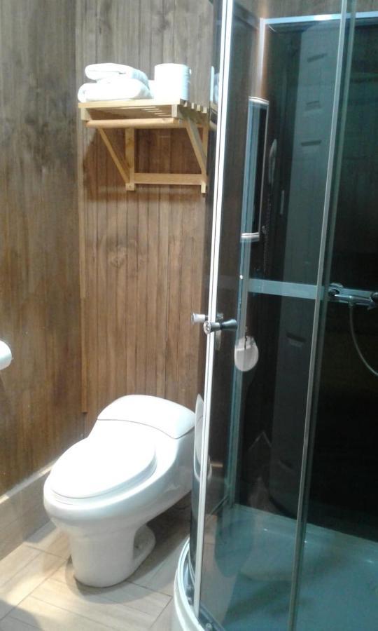 Hostal Chalet Las Violetas Punta Arenas Extérieur photo