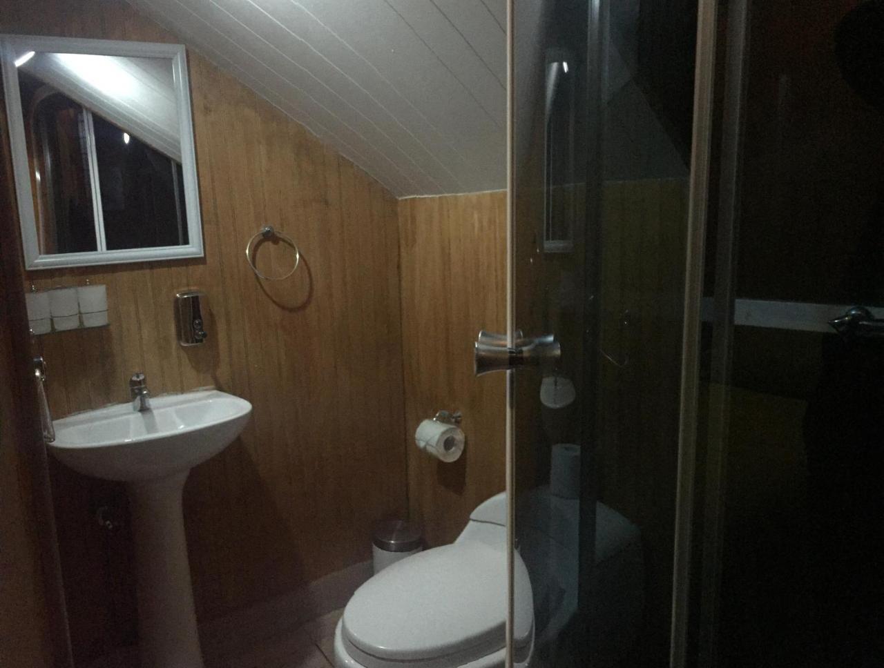 Hostal Chalet Las Violetas Punta Arenas Extérieur photo