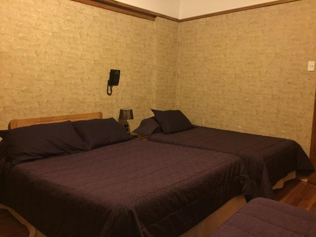 Hostal Chalet Las Violetas Punta Arenas Extérieur photo