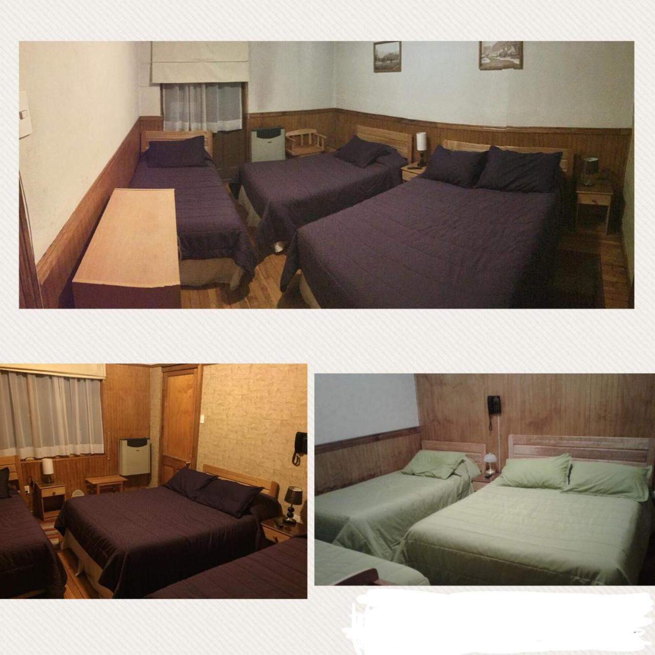 Hostal Chalet Las Violetas Punta Arenas Extérieur photo